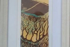 IMG_20200409_204655 IMG_20200409_204655