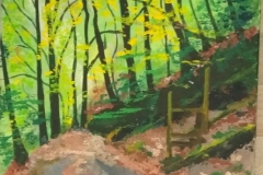 IMG_20200409_204853 IMG_20200409_204853