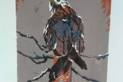 IMG_20200409_205051 IMG_20200409_205051