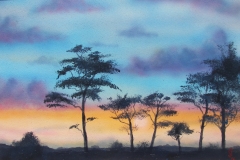 Trees-at-Dusk-2